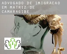 Advogado de imigração em  Matriz de Camaragibe