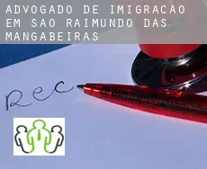 Advogado de imigração em  São Raimundo das Mangabeiras