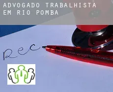 Advogado trabalhista em  Rio Pomba