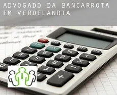 Advogado da bancarrota em  Verdelândia