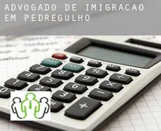 Advogado de imigração em  Pedregulho
