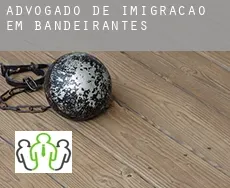 Advogado de imigração em  Bandeirantes