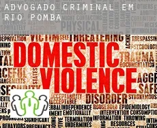 Advogado criminal em  Rio Pomba